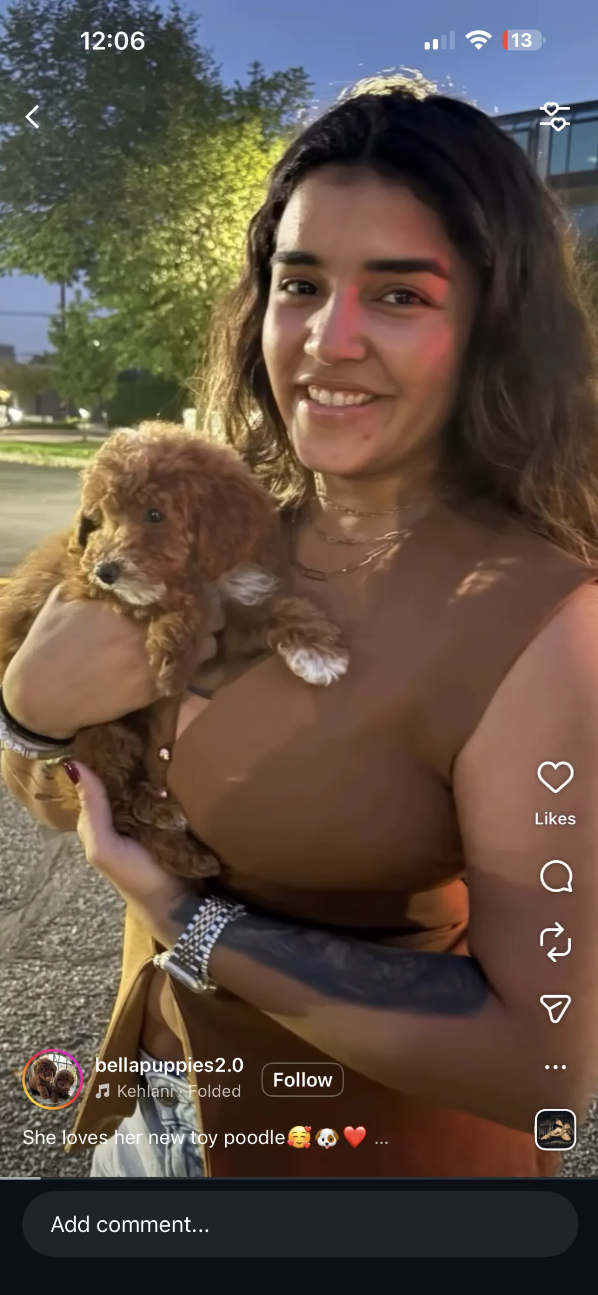 Tenafly, NJ Puppies For Sale