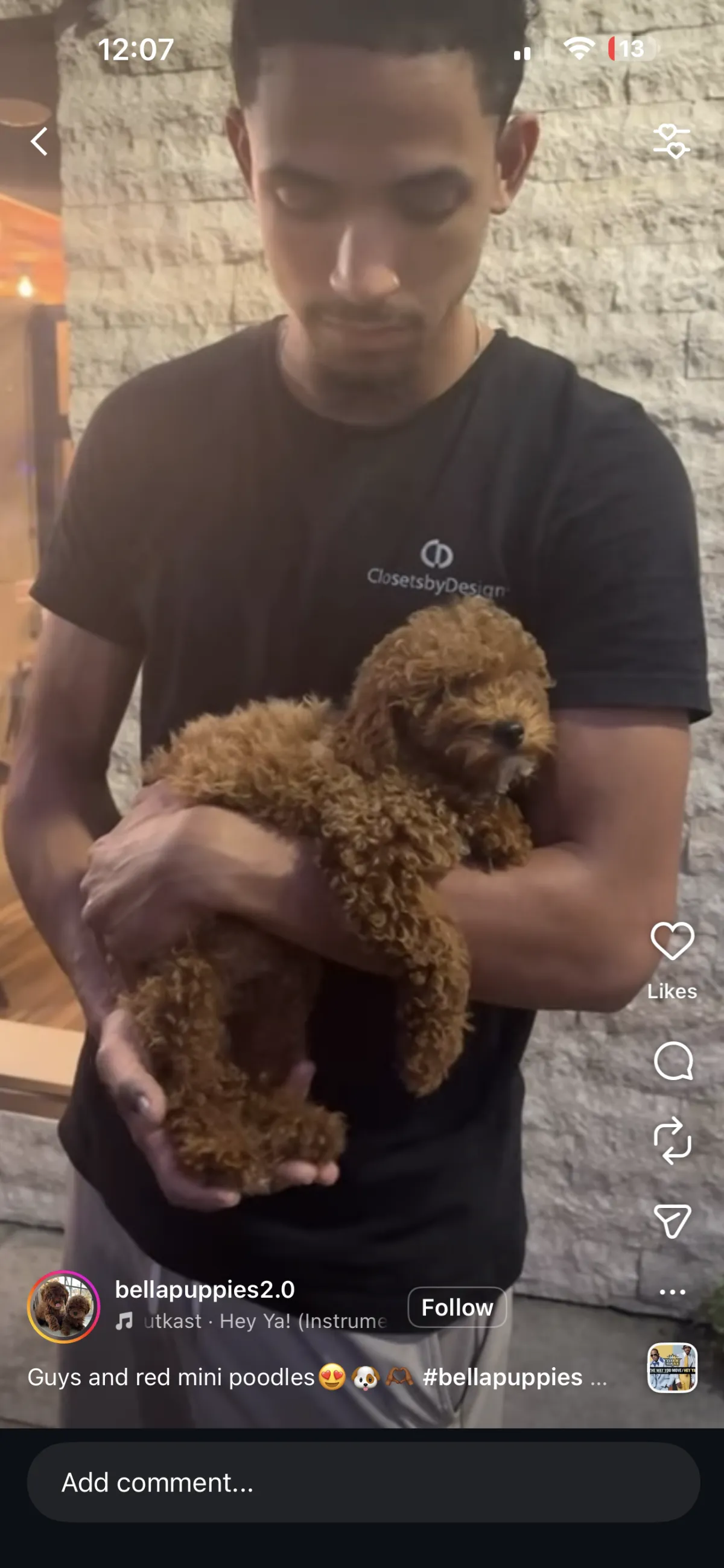 Teaneck, NJ Puppies For Sale