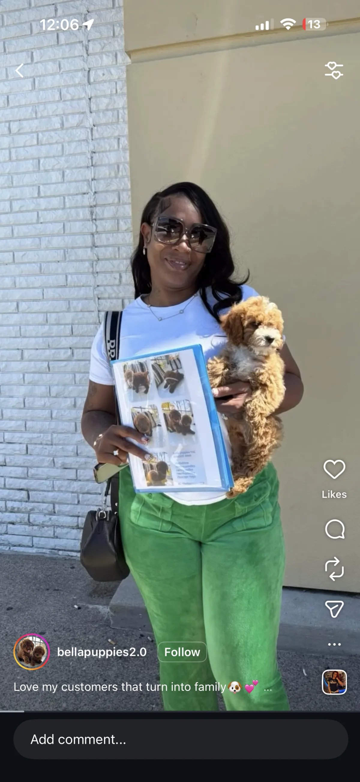 Puppy Events & Parties