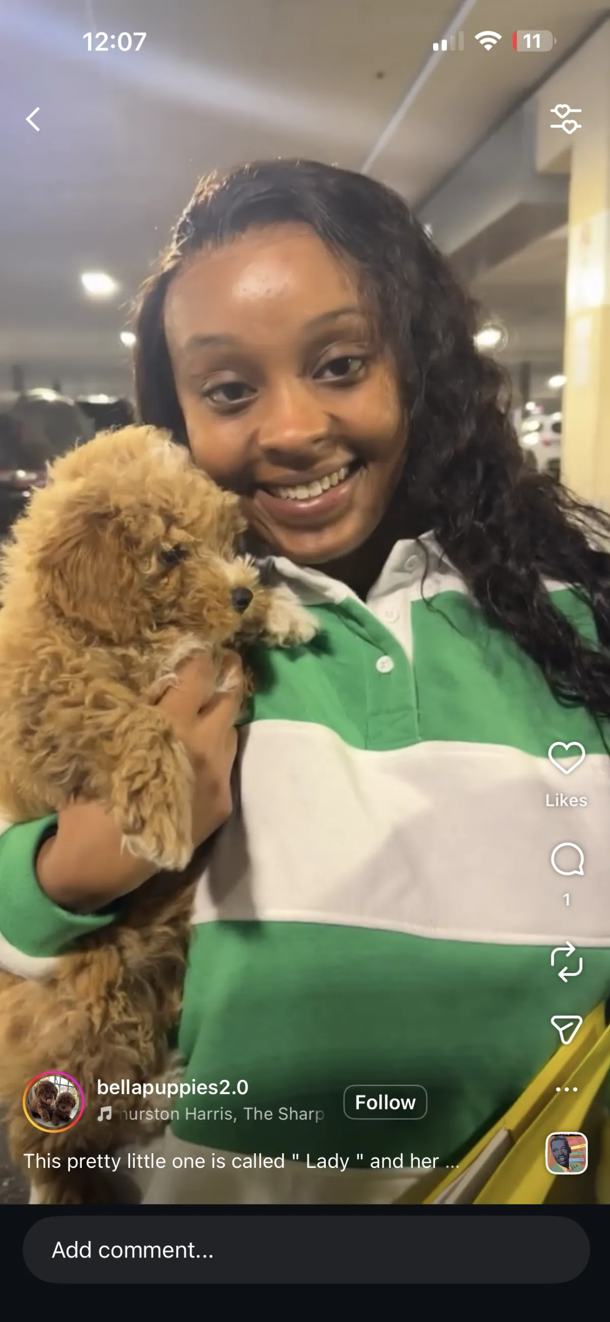 Tenafly, NJ Puppy Yoga