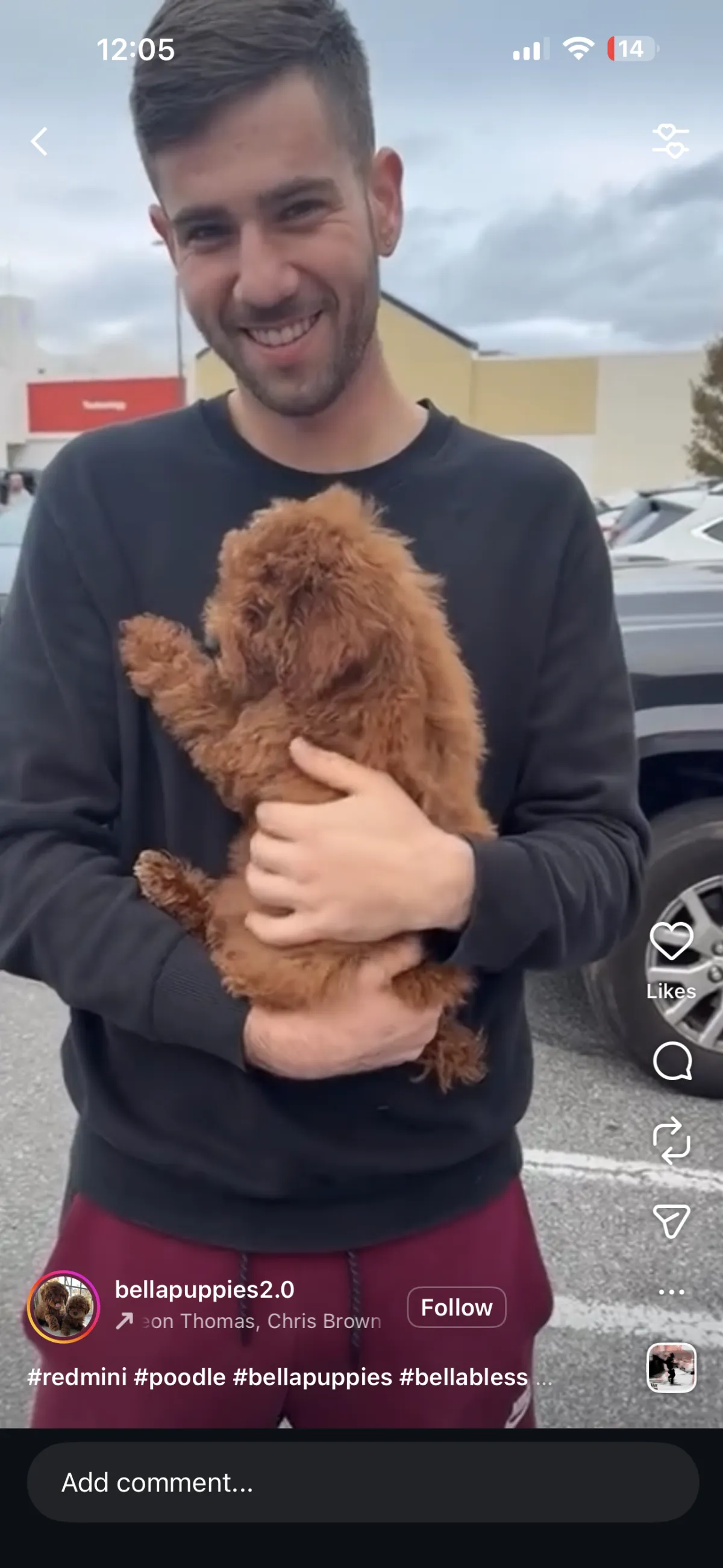  Puppy Events & Parties