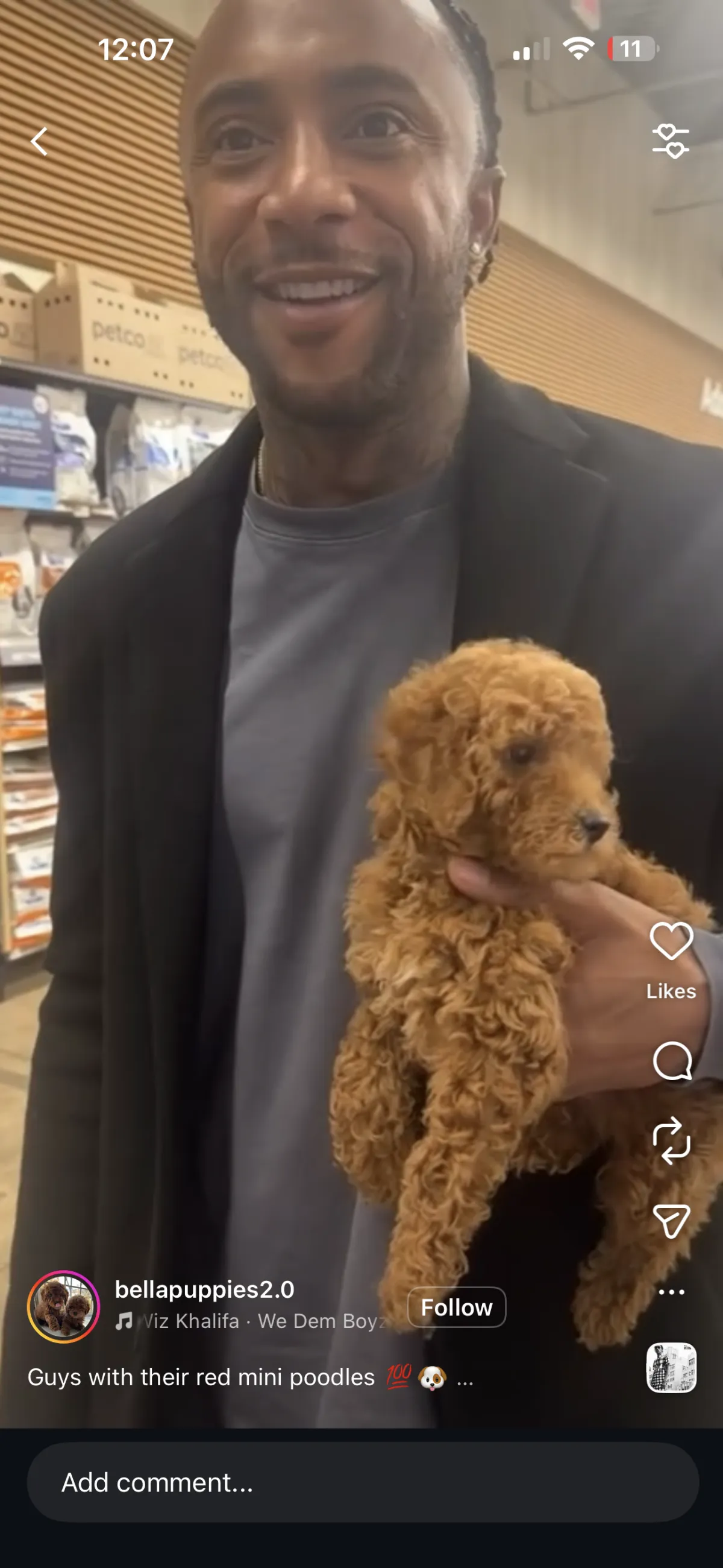 Manhattan, NY Puppy Yoga