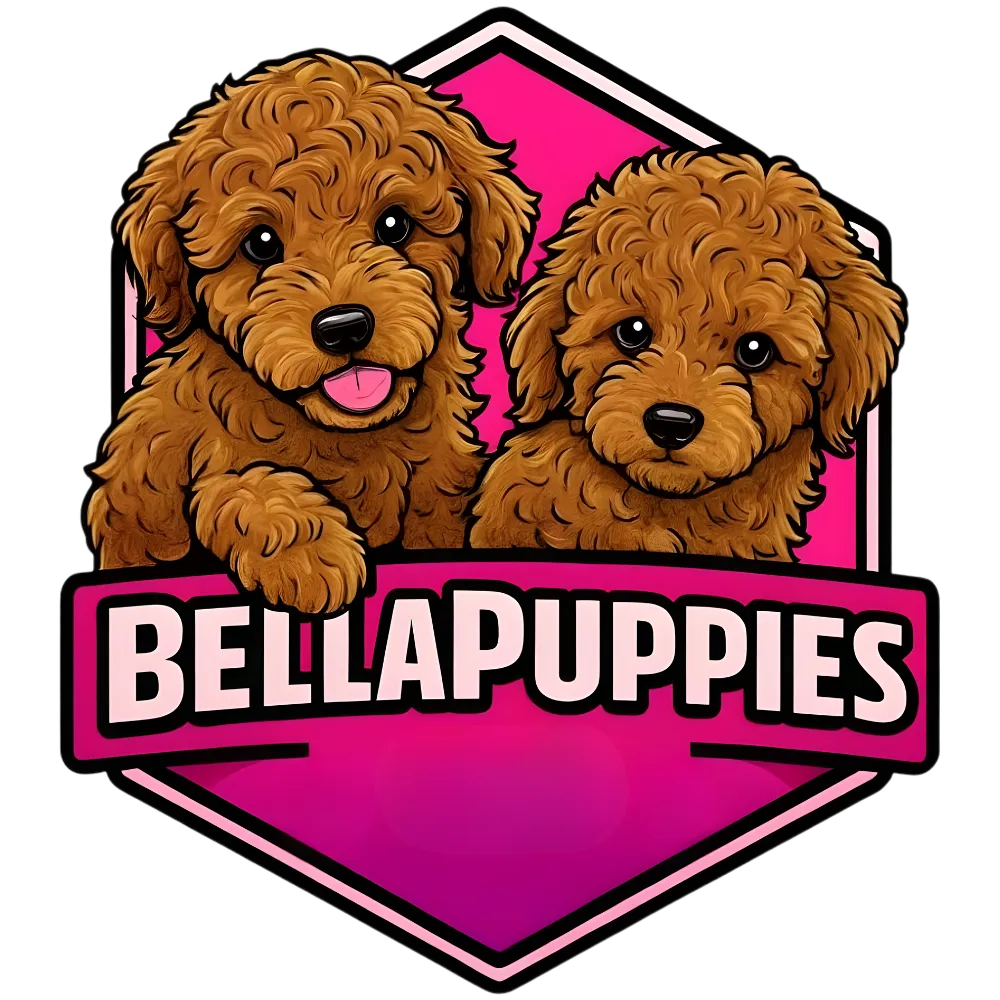 Puppies Bergen county, NJ