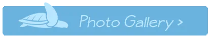 Photo Gallery