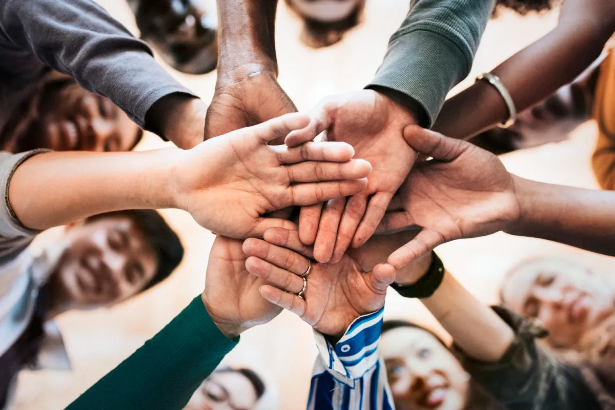 Non-Profit Industry: Sound Decisions