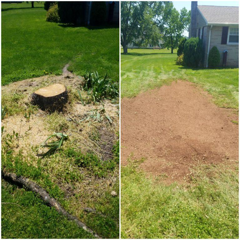 Before and after tree stump removal showing clean, leveled yard by Mundo Landscaping in Tucson, AZ.