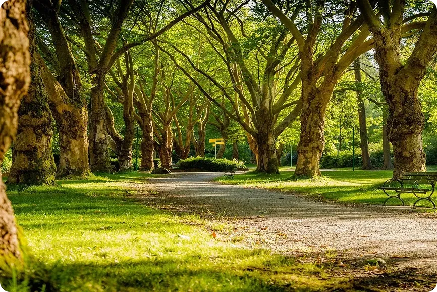 Green Burials