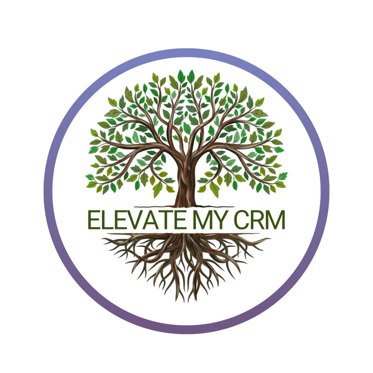 Elevate My CRM