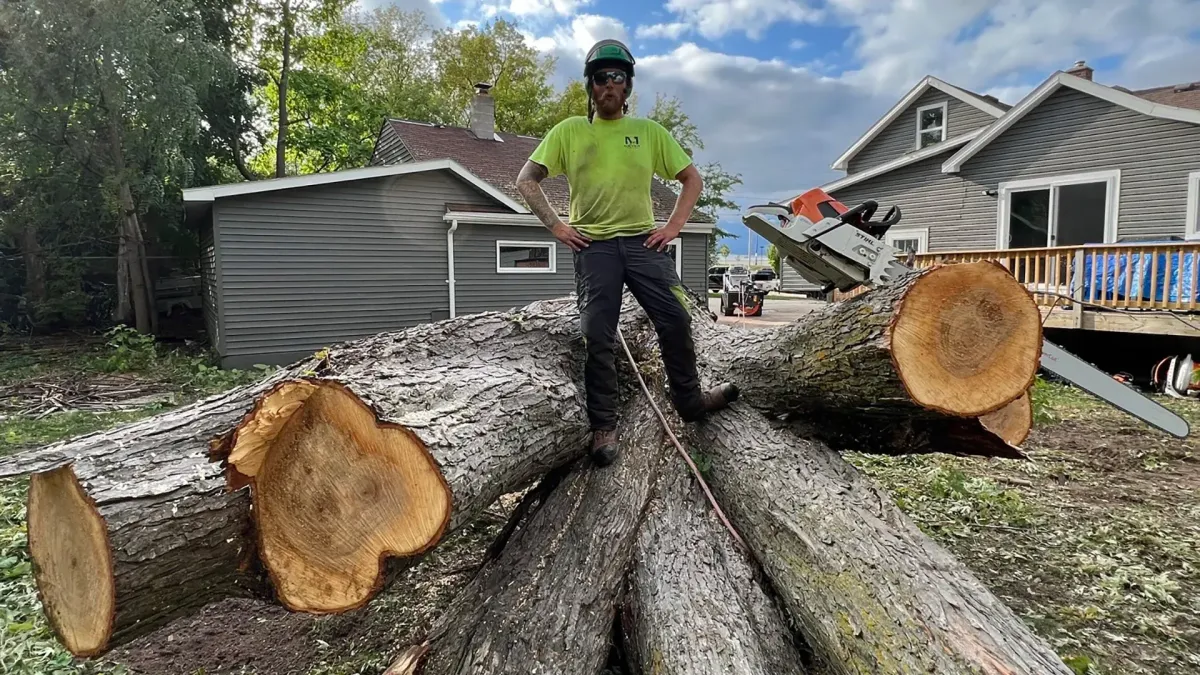 Tree service augusta