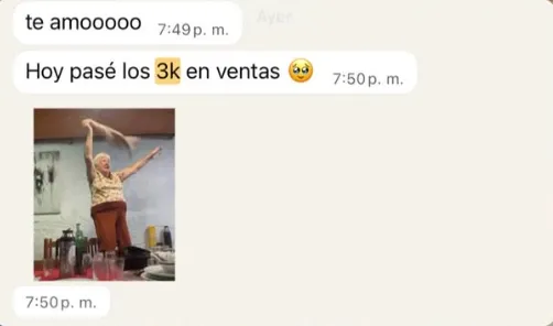 Screenshot of a WhatsApp chat showing successful earnings