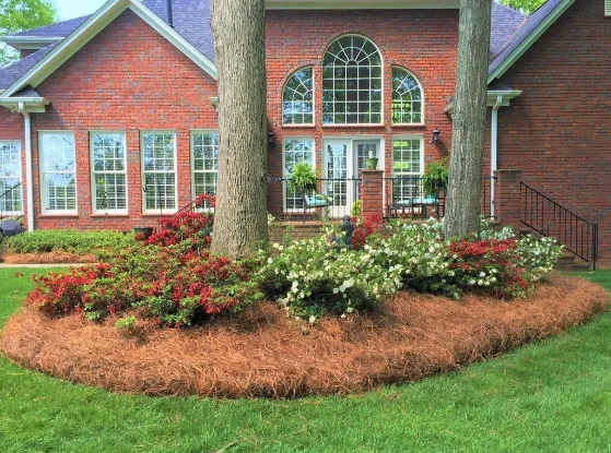 Mulch Installation Guide: Best Types, Timing and How Much You Need