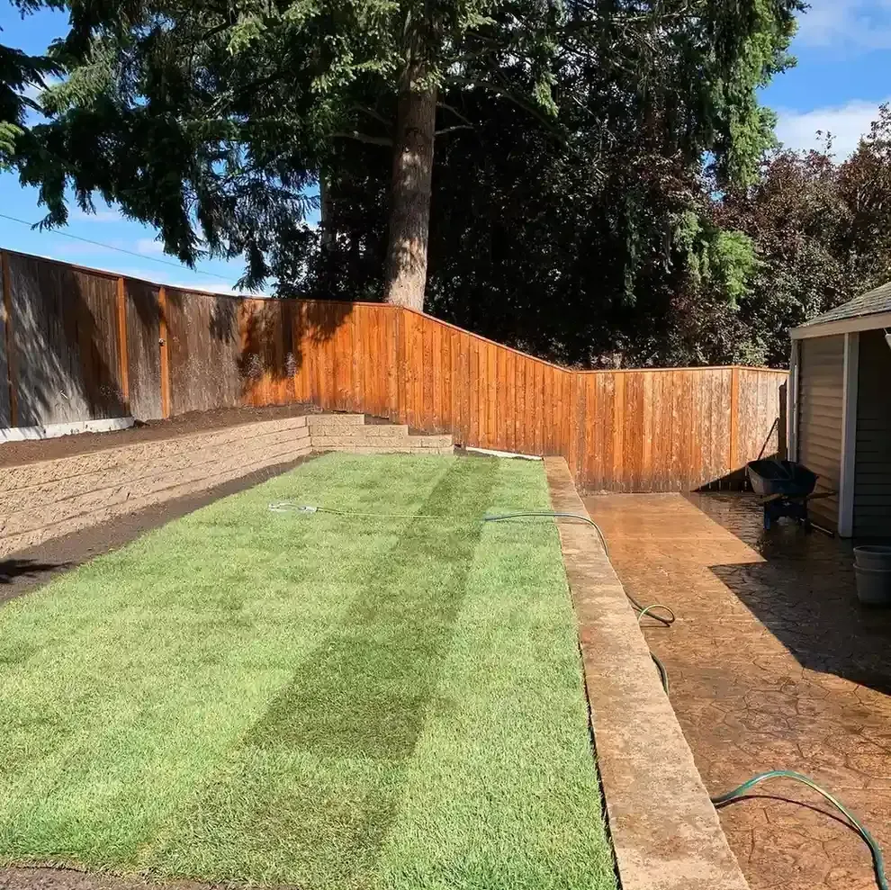 Fresh sod installation beside a block retaining wall and wet flagstone patio by HD Landscape in Clackamas