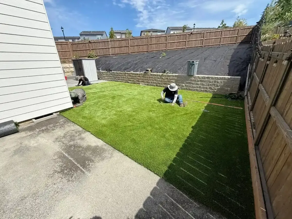 HD Landscape crew laying sod in a fenced backyard with block retaining wall in Hillsboro