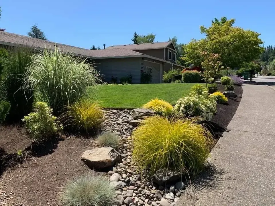 Front yard landscape with ornamental grasses, river rock dry creek bed, mulched planting beds, and manicured lawn by HD Landscape in Lake Oswego