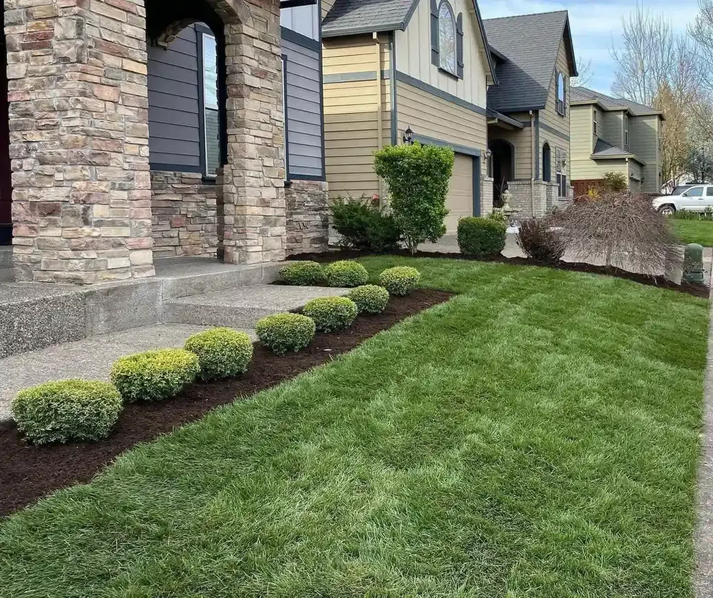 Trimmed boxwood border with fresh dark mulch and manicured lawn along a stone column home by HD Landscape in Sherwood