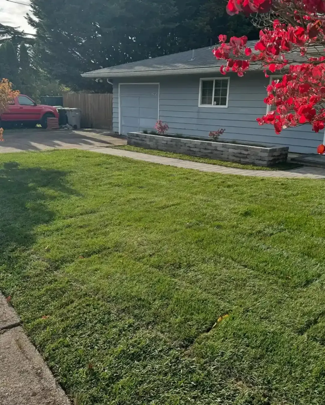 Manicured front lawn with paver walkway, block raised planter bed, and red fall foliage by HD Landscape in Portland