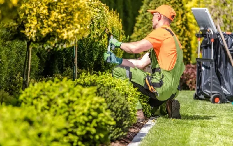 lawn care services