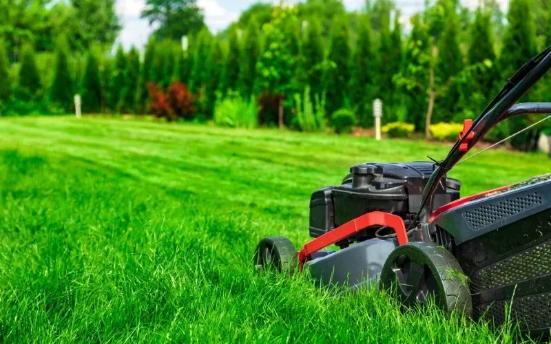 Professional lawn mowing service with red push mower cutting striped residential lawn by HD Landscape in Beaverton
