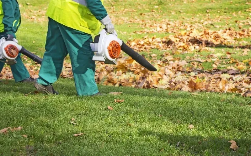 Two landscapers using leaf blowers for fall yard cleanup service by HD Landscape in Beaverton