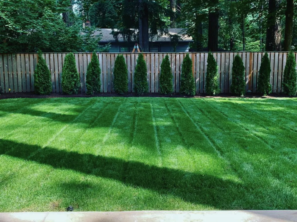  ideas for yard