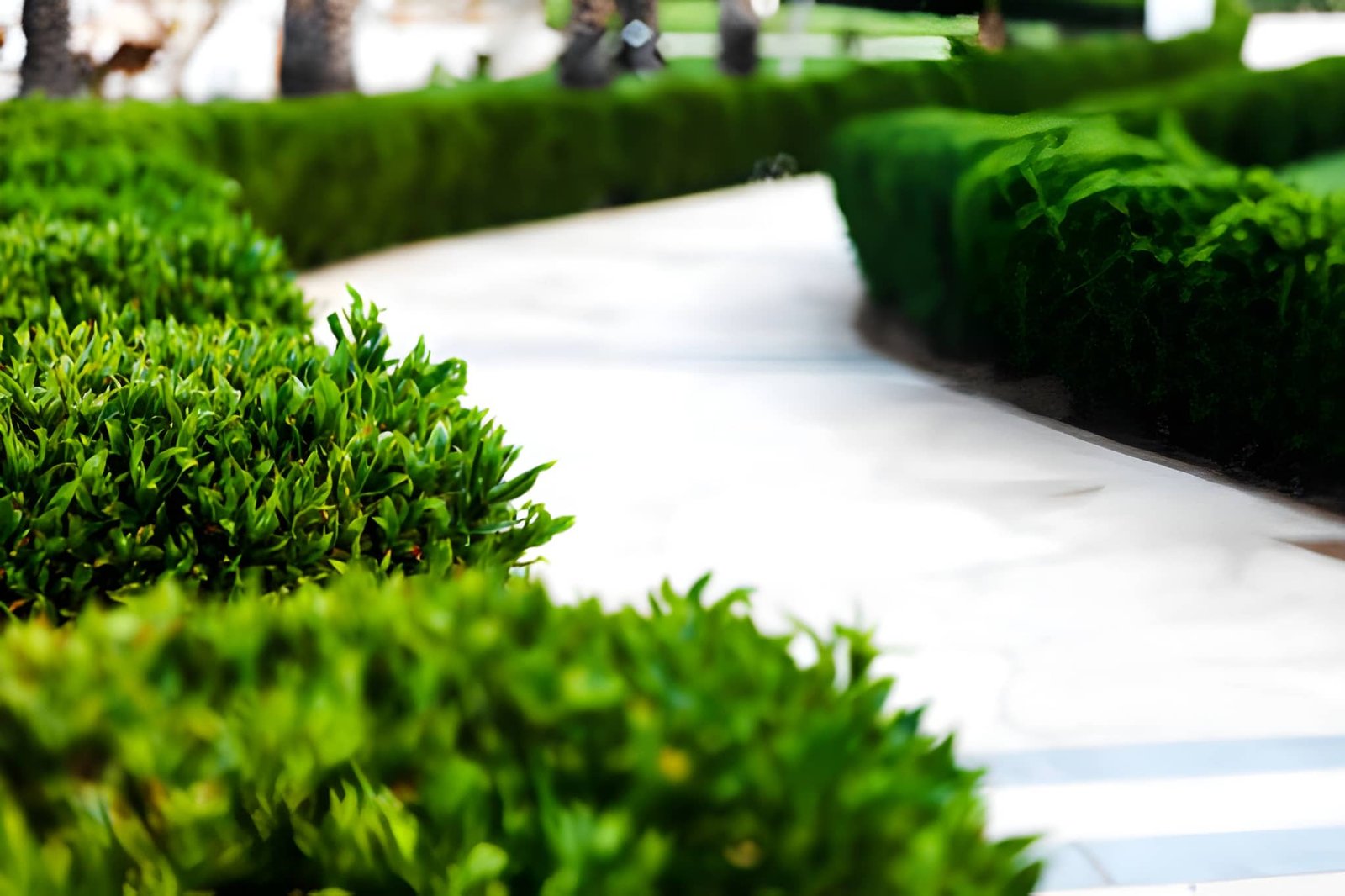 Specialty Landscape Services