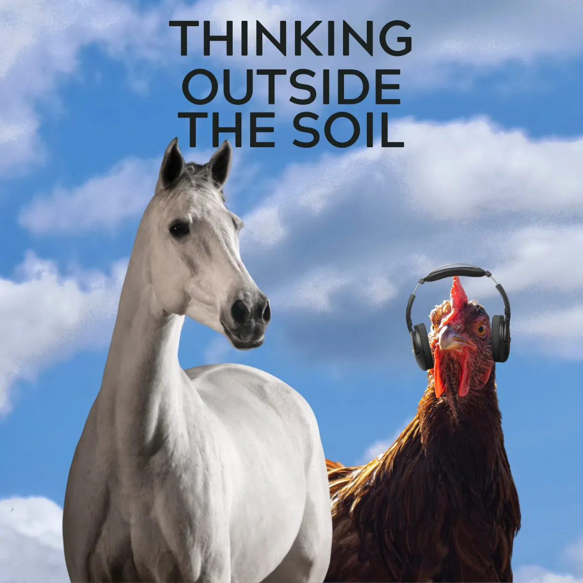 podcast-cover_1-min png