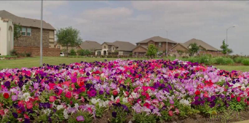 Maximizing Landscape Budgets for HOAs & Commercial Properties