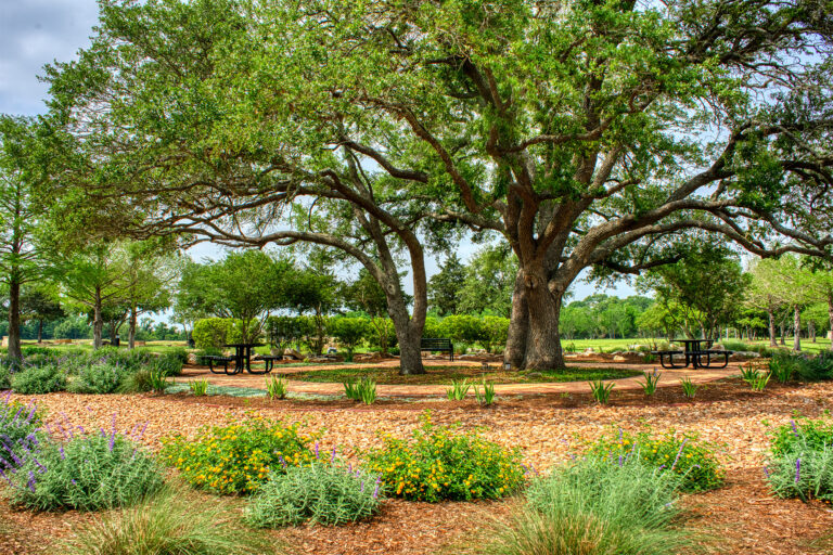 Native plants can add beauty and sustainability to any landscape.