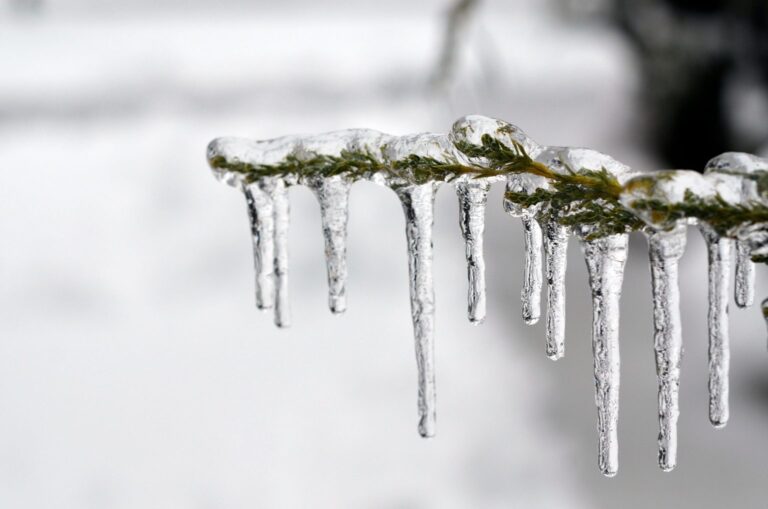 Is your landscape ready for winter?