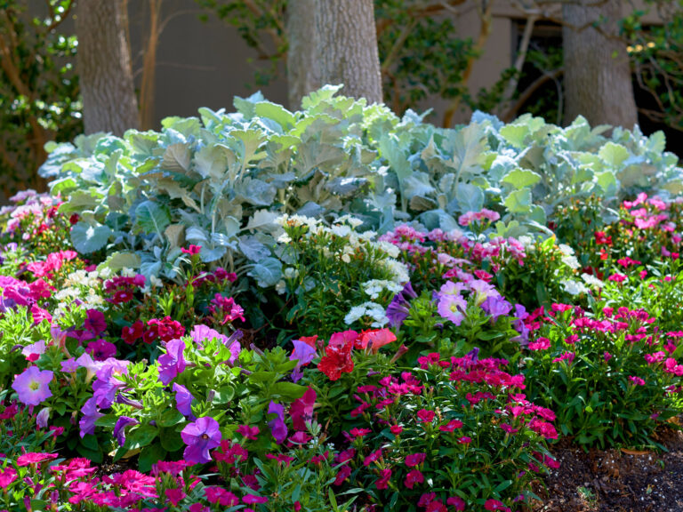 Preparing your landscape for new growth and spring color.
