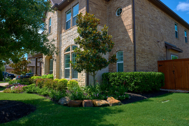 Treat your landscape to some fall TLC.