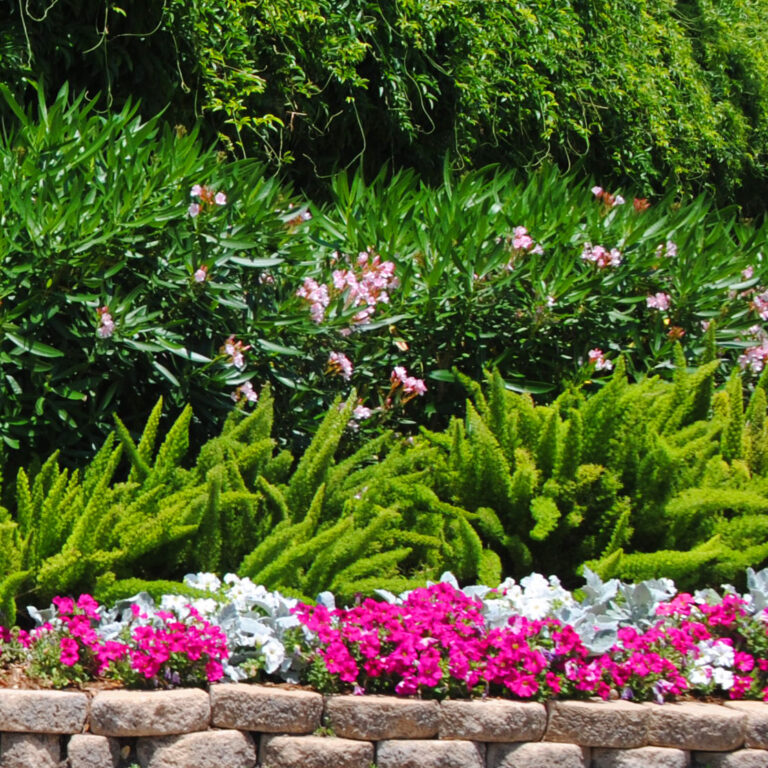 Spring – Clean ups, cutbacks and color!