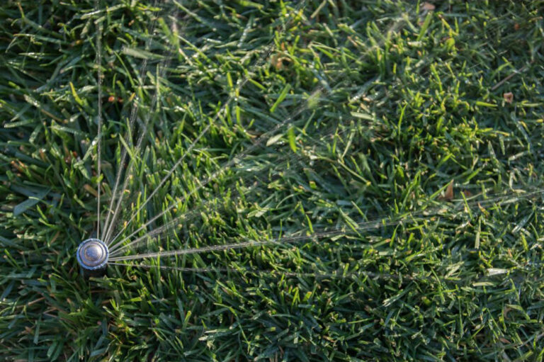 July is Smart Irrigation Month. Is your system Smart?