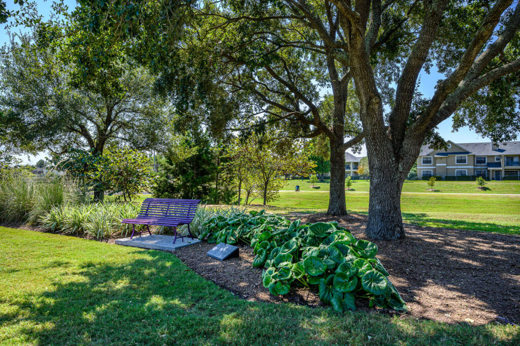 Tree Service: Caring for your most important Landscape Assets