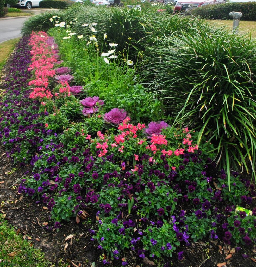 What to do now to prepare landscapes for cool weather and spring growth.