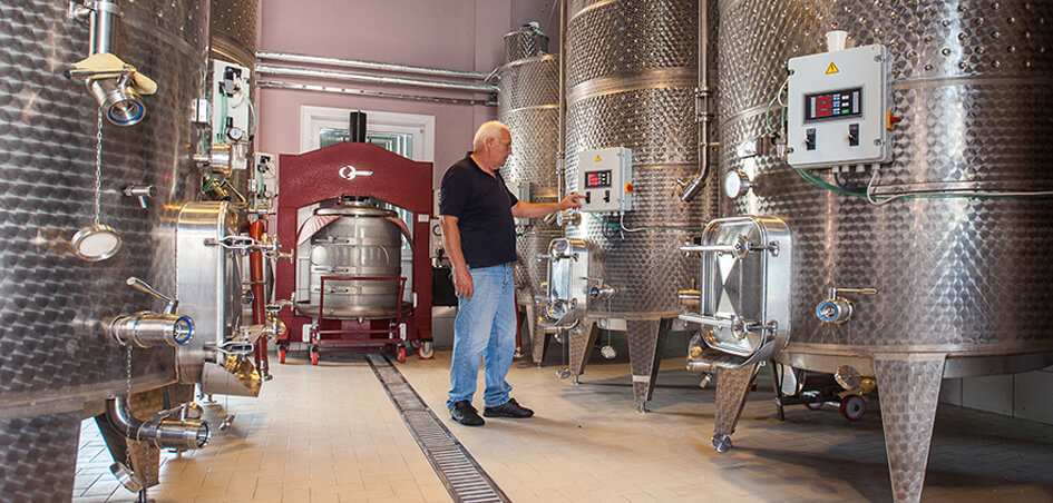 Winemaker examining tanks at Radevic Estate in Montenegro