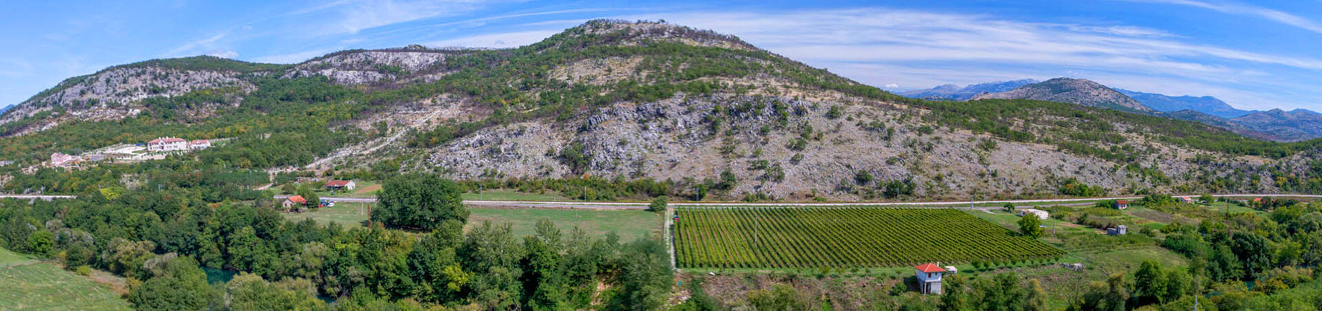 Winery at Radevic Estate in Montenegro