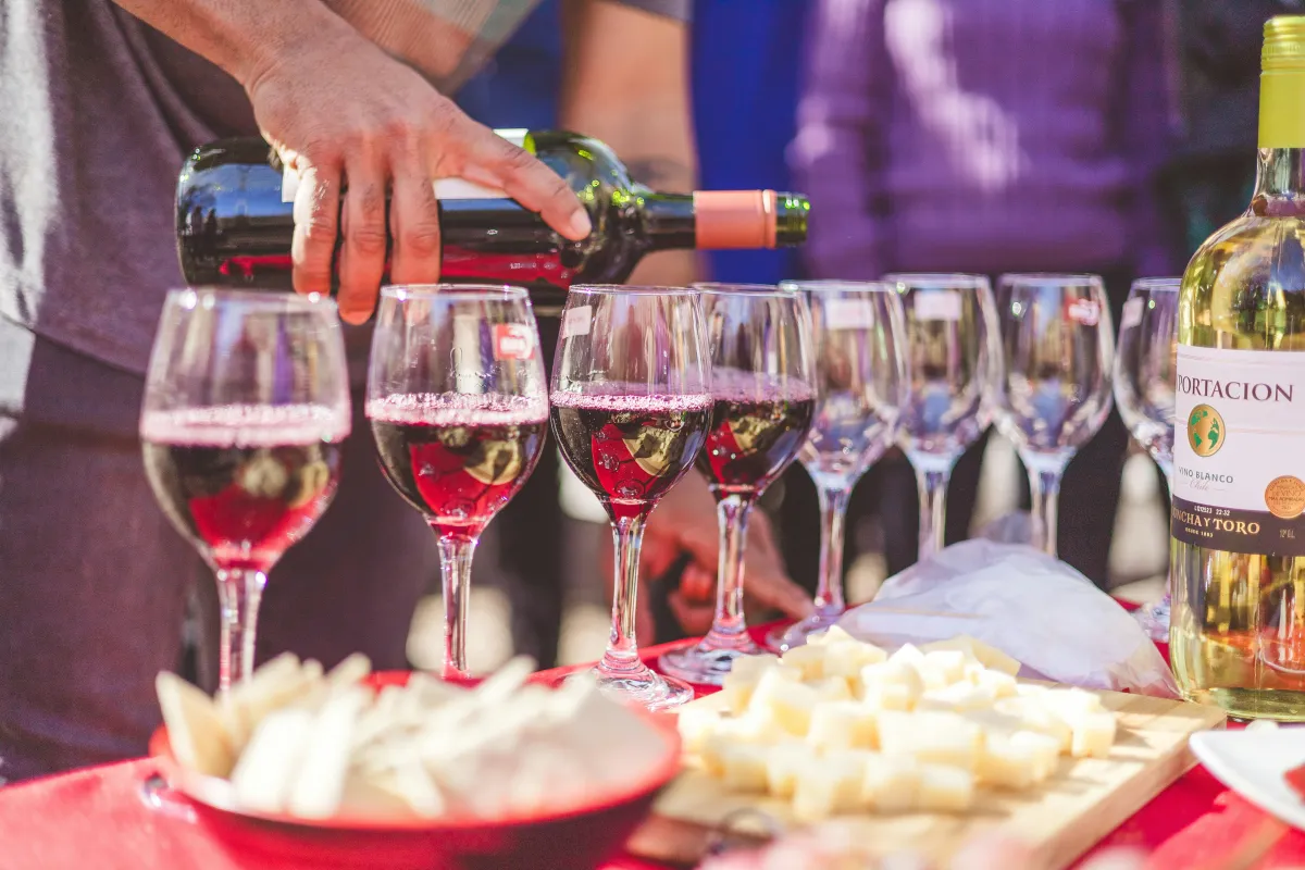 Montenegro Wine Festivals 2026: The Complete Event Guide