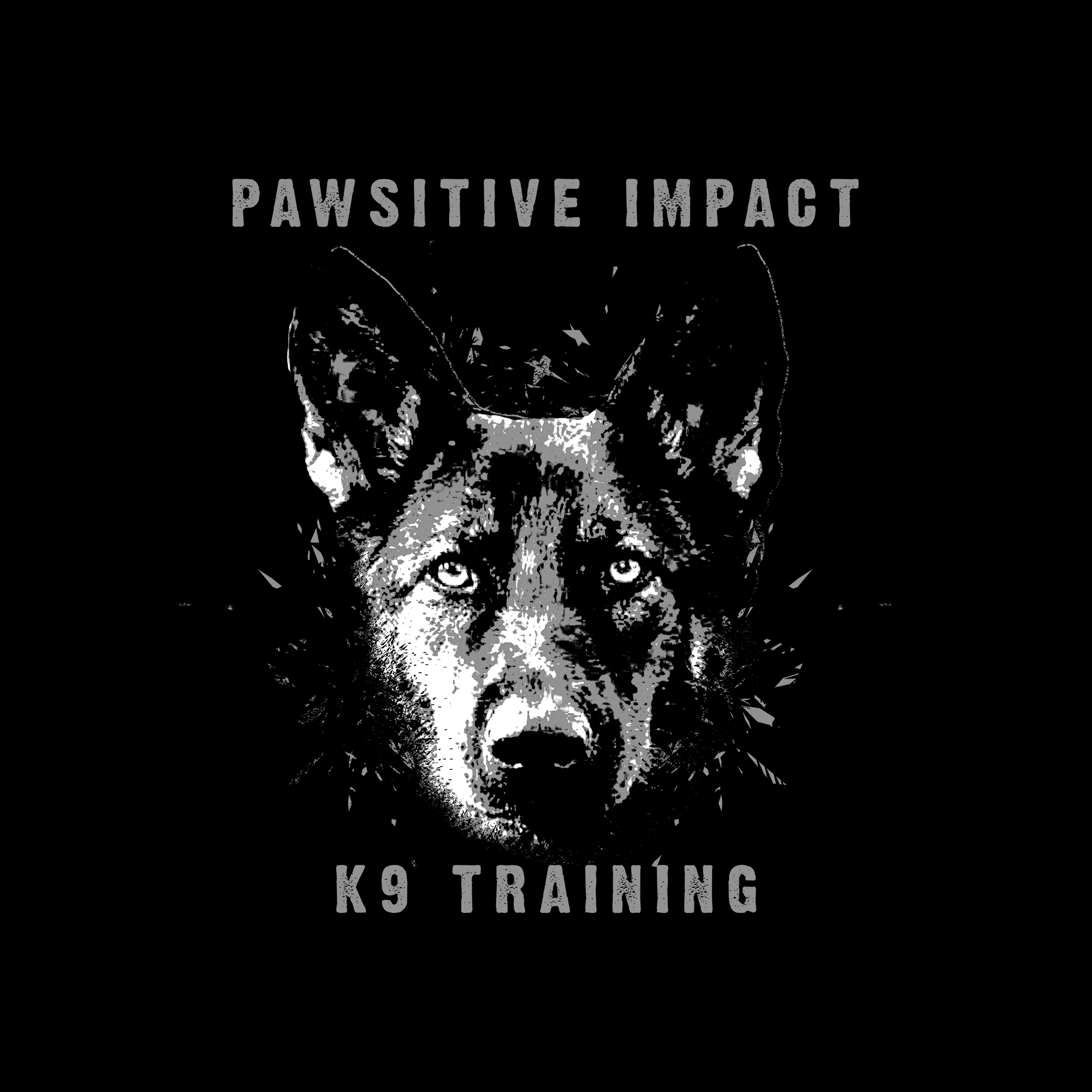 Pawsitive Impact K9/Dog Training