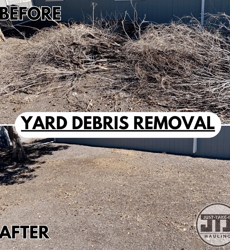 Yard Debris in Denver