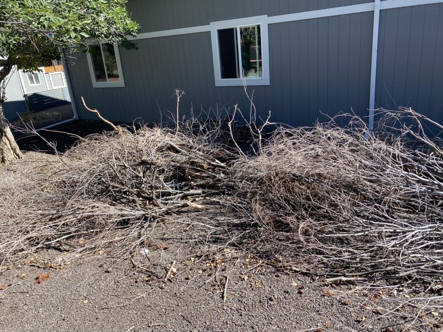 Couch Removal Denver