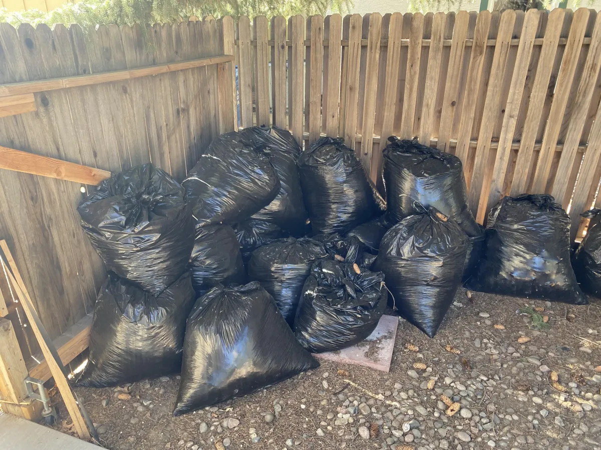 Aurora Yard Debris Removal