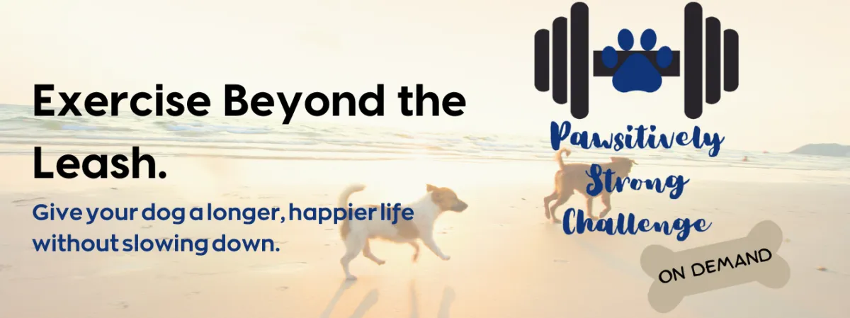 Pawsitively Strong Challenge On Demand.