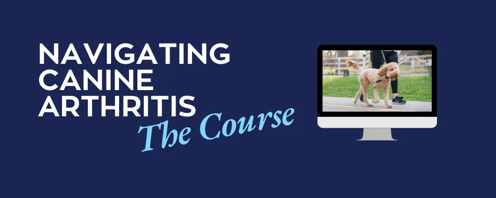 Navigating Canine Arthritis.  The Course