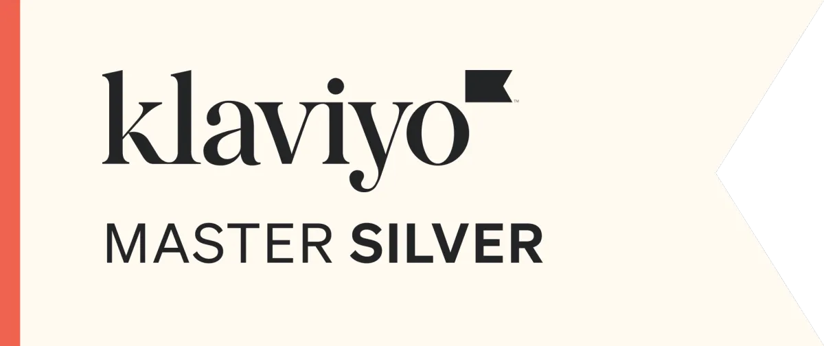 Klaviyo Master Silver