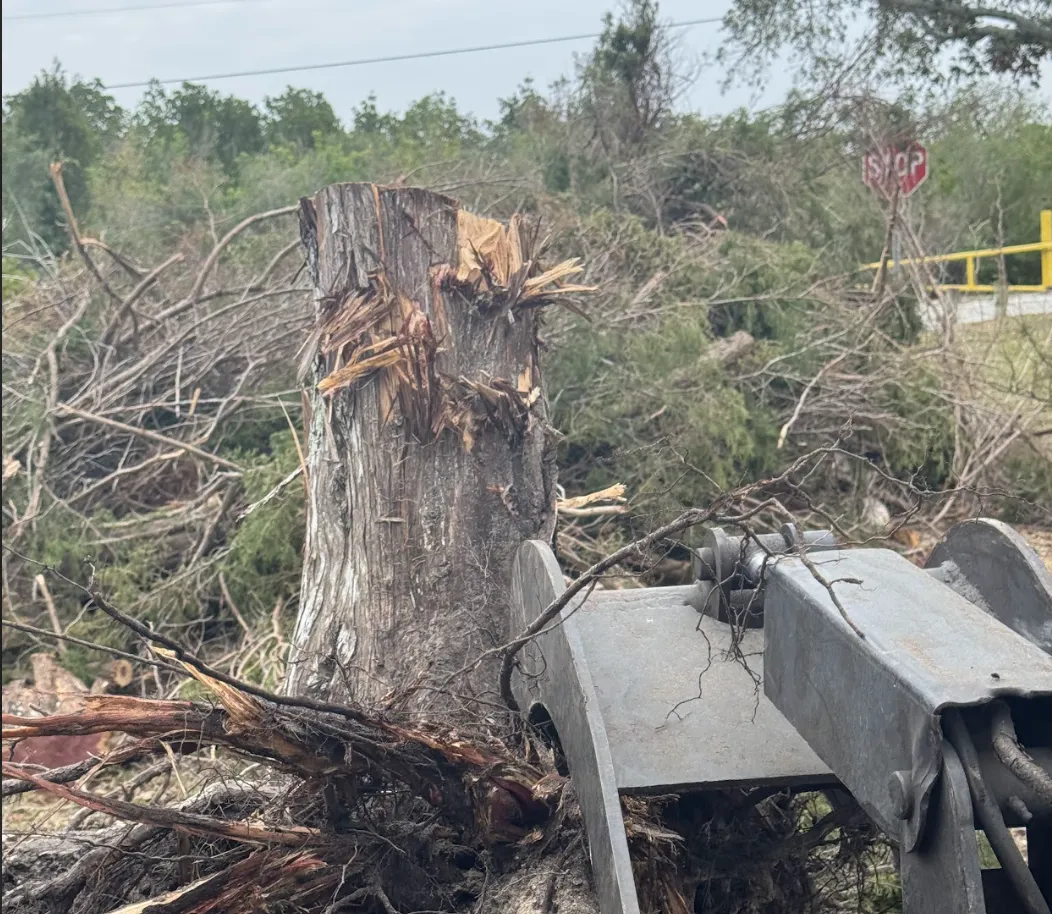 Disaster Cleanout Tampa