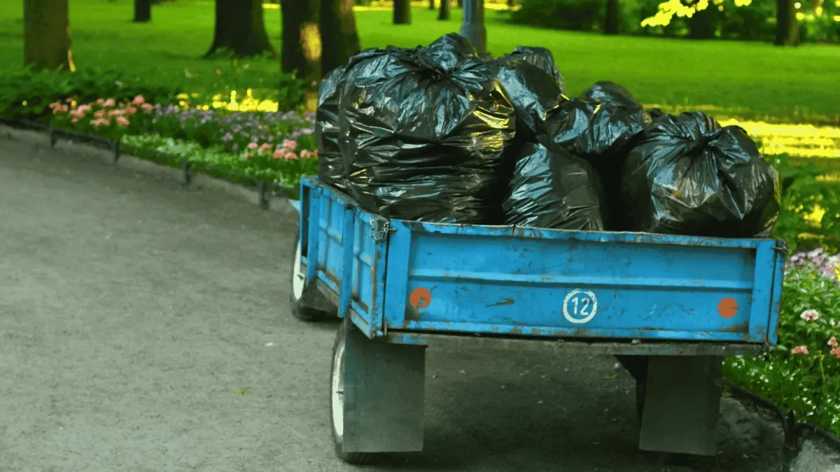 Summer Yard Cleanup & Debris Hauling Newnan GA | All American Haul Away