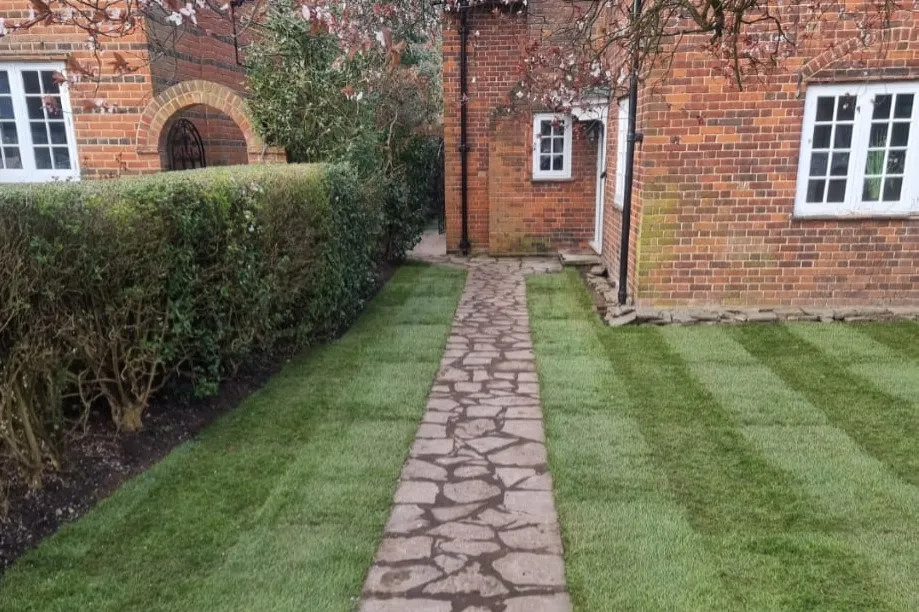 Lawn treatment and renovation in Ipswich with a scarified lawn being overseeded