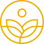 Center For Improving Relationships Logo