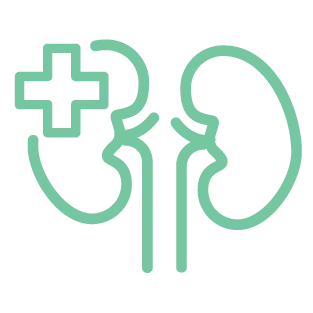 Organ Health